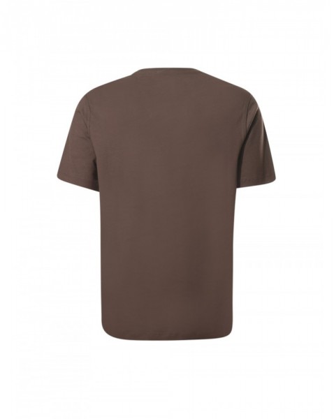 AQ---laneus---F5LAMATH318920_1_P.JPG AQ---laneus---F5LAMATH318920_1_P.JPG