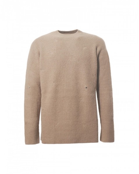 AR---laneus---F6LAMAKN030178.JPG